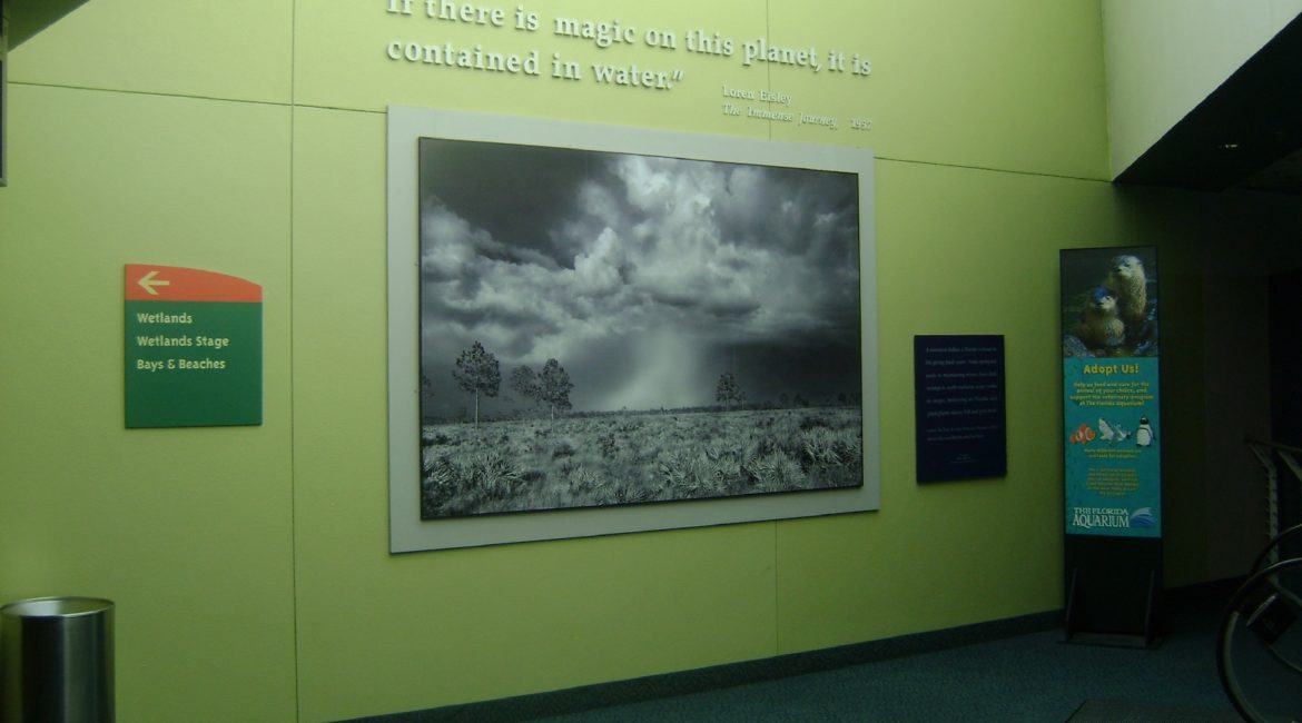 aquarium-signage